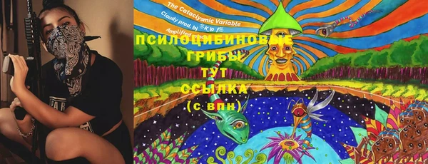 ПСИЛОЦИБИНОВЫЕ ГРИБЫ Пересвет