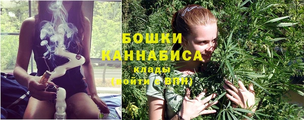гидропоника Вяземский